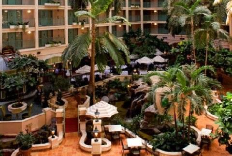 Sheraton Lauderdale At Cypress Creek 3* Fort Lauderdale